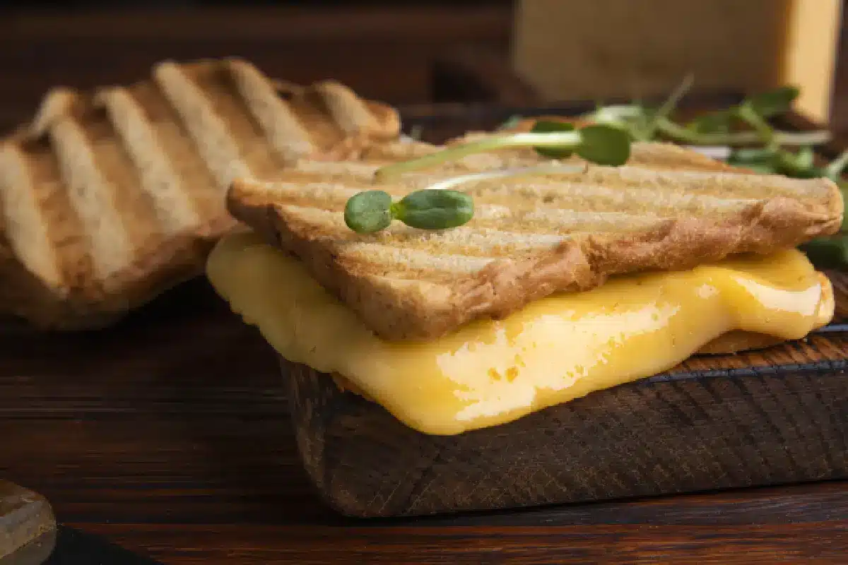 Grilling Cheese Sandwich Recipe with Caramelized Onions