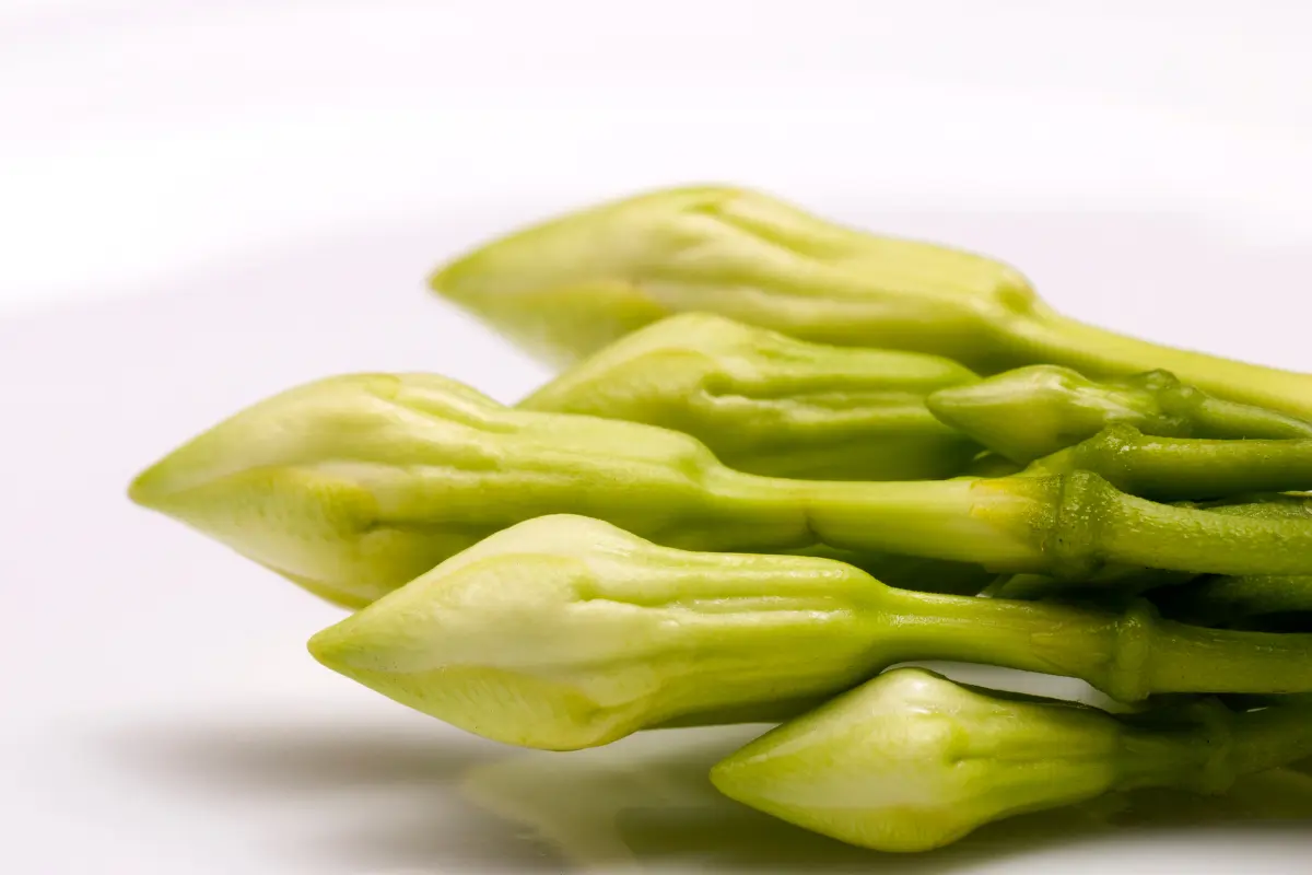 Can You Eat Loroco Raw? Discover the Surprising Facts