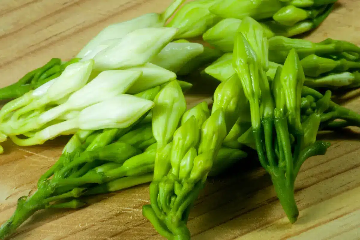Is Loroco a Spinach? Discover the Truth About This Unique Plant