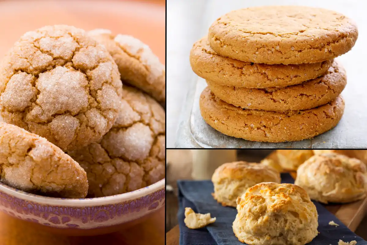 What Are the 4 Types of Biscuits? Explore Varieties & Recipes