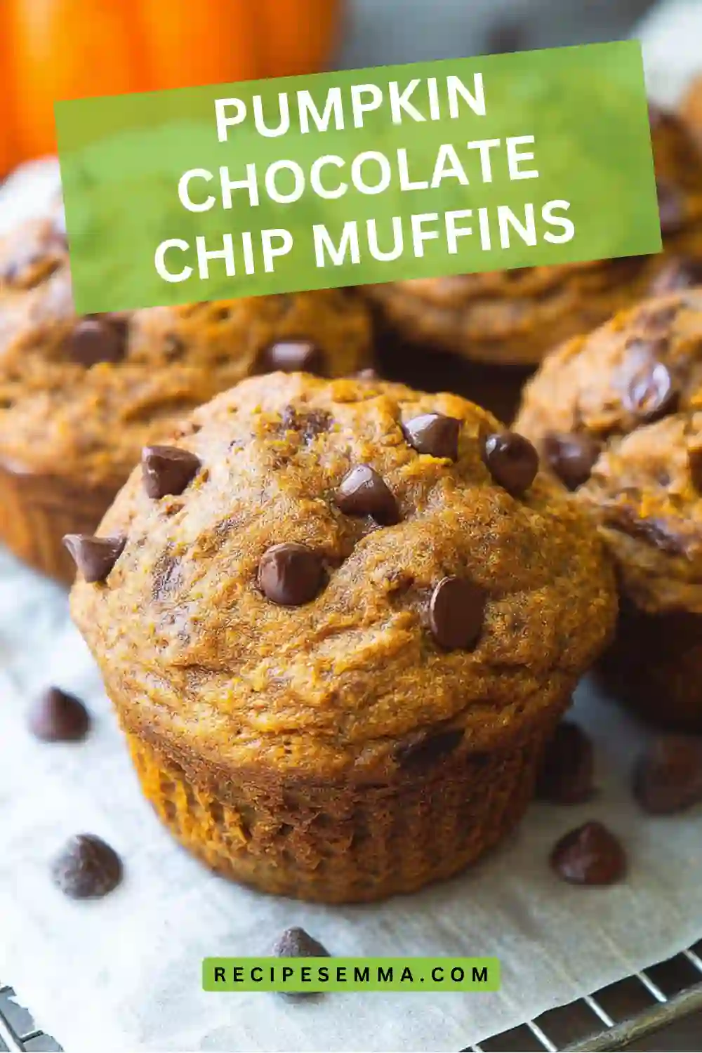 Pumpkin Chocolate Chip Muffins1