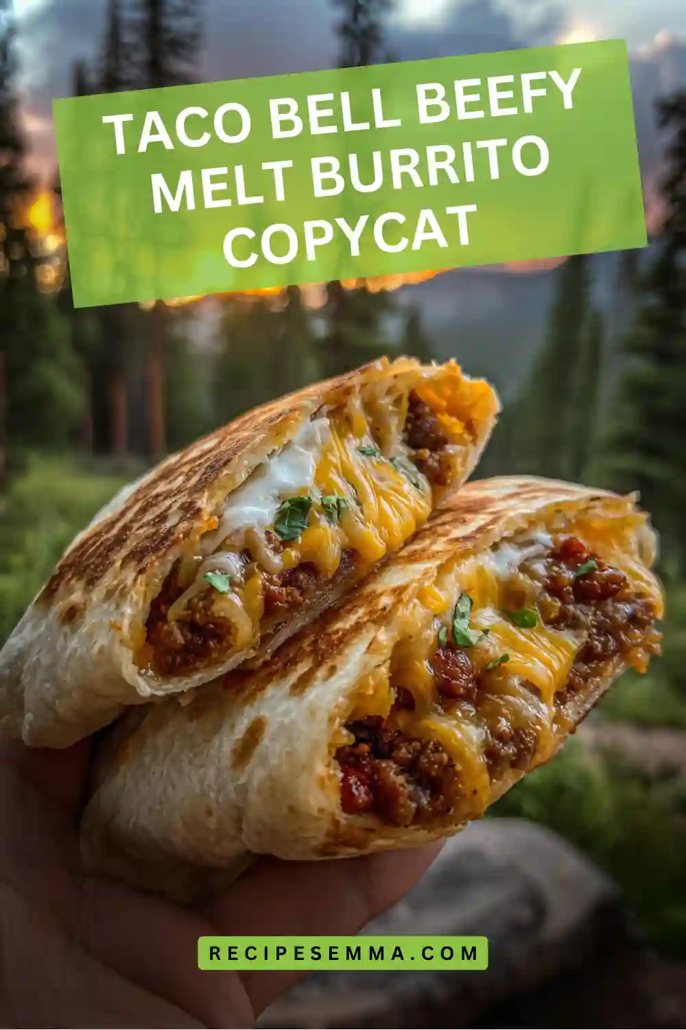 Taco Bell Beefy Melt Burrito