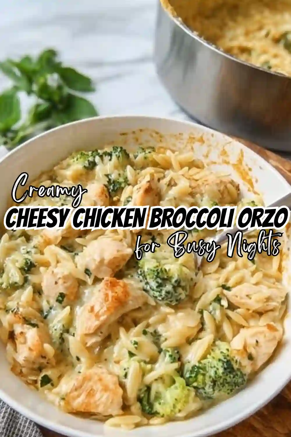 Cheesy Chicken Orzo