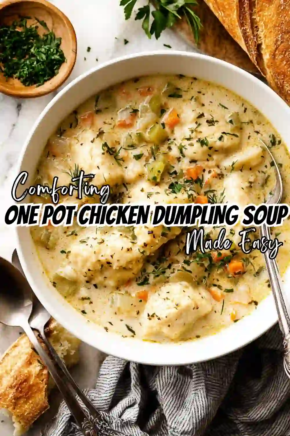 Chicken Dumpling Soup