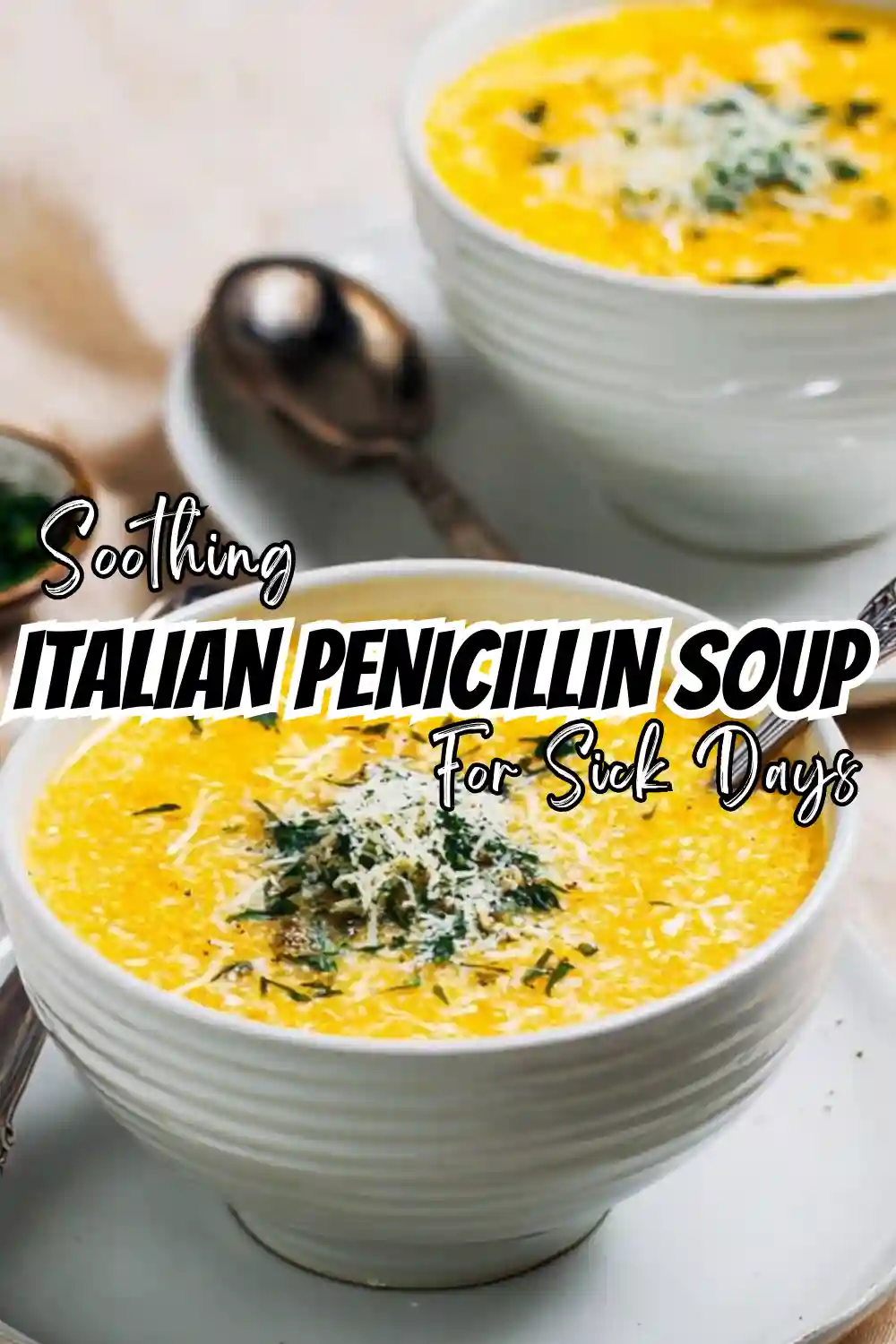 Italian Penicillin Soup