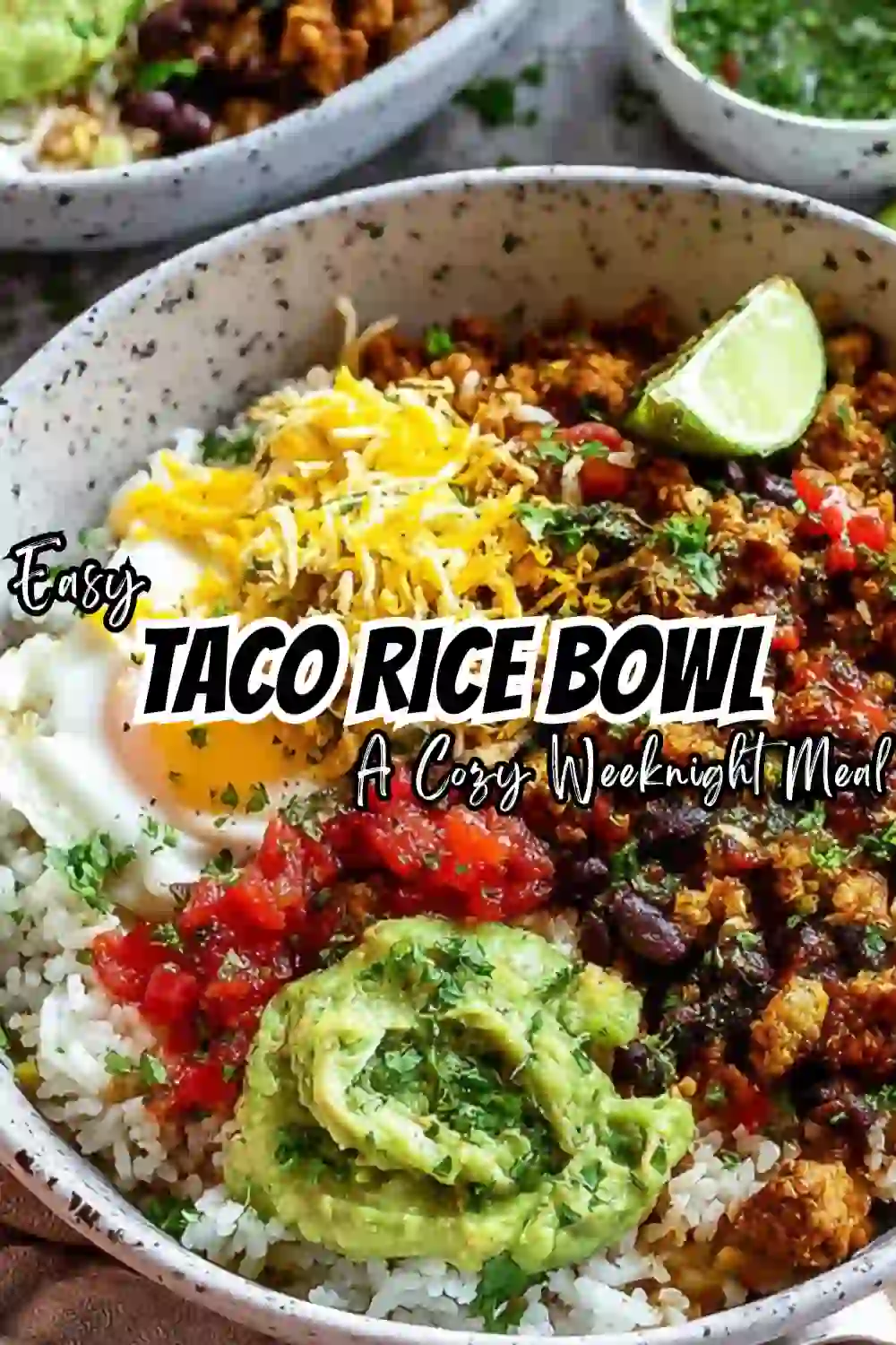 Taco Rice Bowl