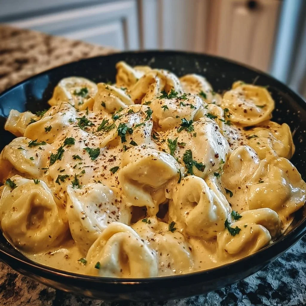 Cozy Chicken Alfredo Tortellini