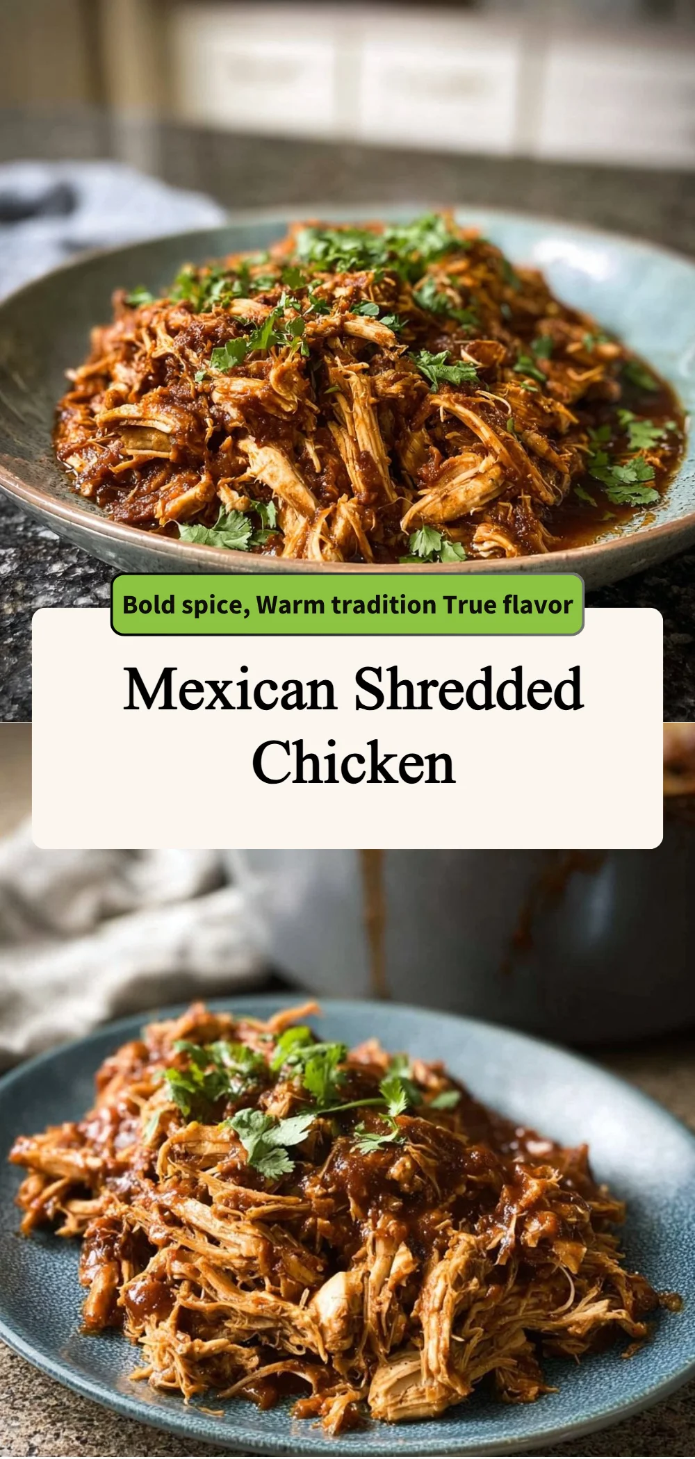Mexican Shredded Chicken 4 mexican shredded chicken 2026 04 15 172612