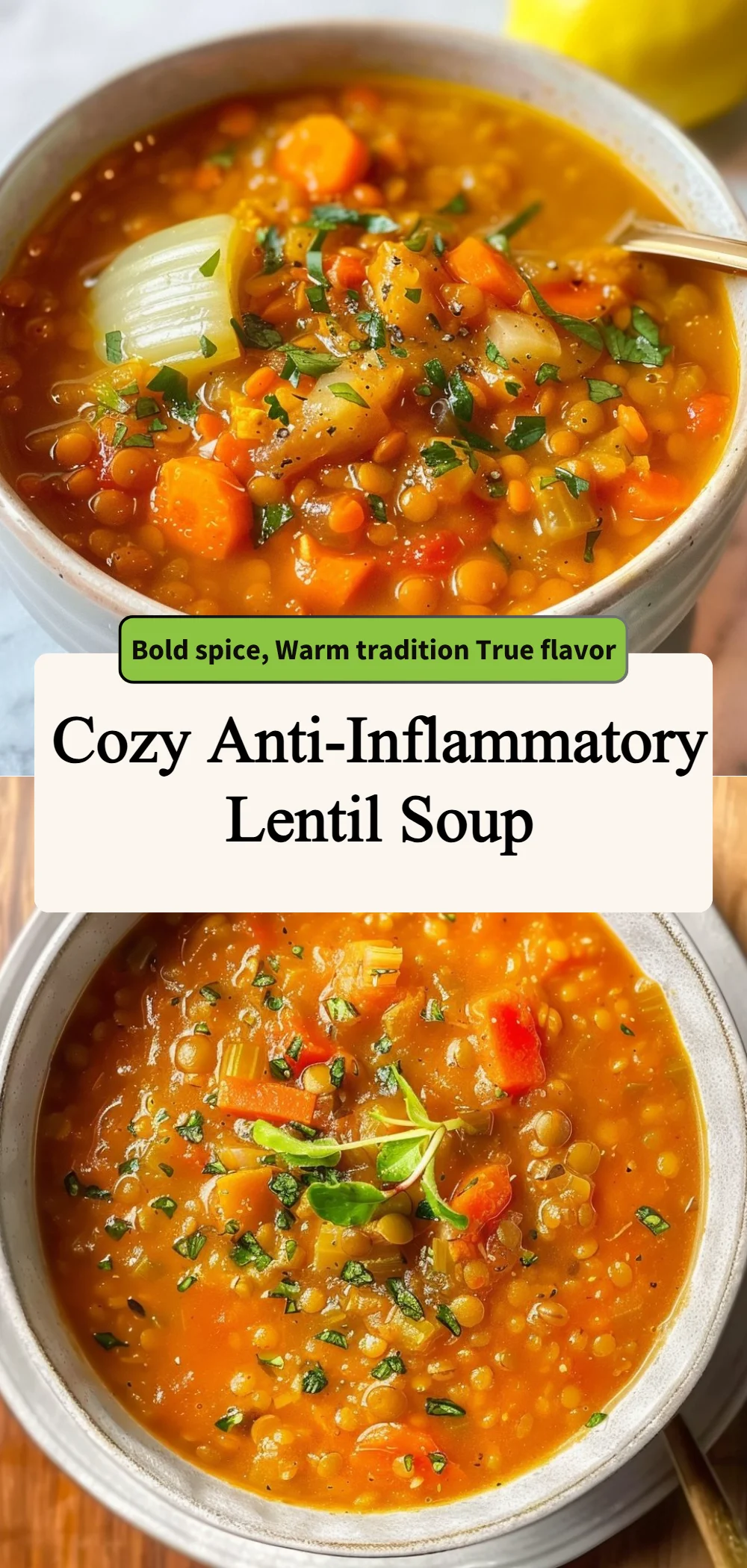 cozy anti inflammatory lentil soup 2026 06 25 003345